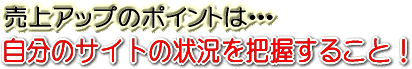 ネットショップで効率的に売上を上げるポイントは・・・自分のサイトの状況を把握すること!
